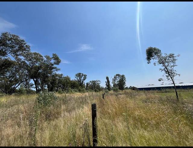FARM FOR SALE IN WALKERVILLE CENTRAL